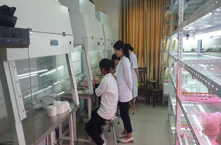 Học sinh được trực tiếp tham gia vào các giai đoạn có yếu tố công nghệ cao để tạo ra sản phẩm thực tiễn.