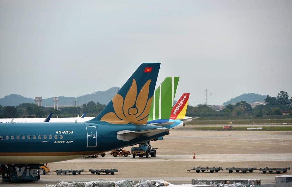 Máy bay của các hãng hàng không tại một sân bay. Ảnh: CTV/Vietnam+.  