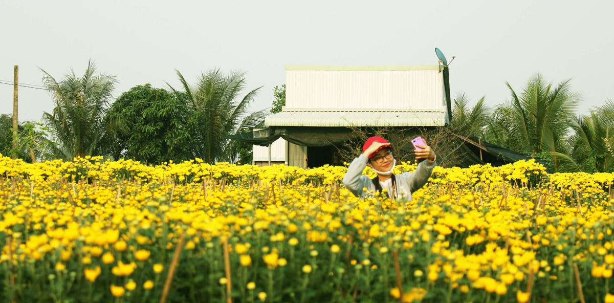 ở làng hoa Sa Đéc, ngoài cung cấp hoa, canh cảnh cho các nơi, nhà vườn còn tạo ra nhiều điểm để du khách check in, tham quan. 