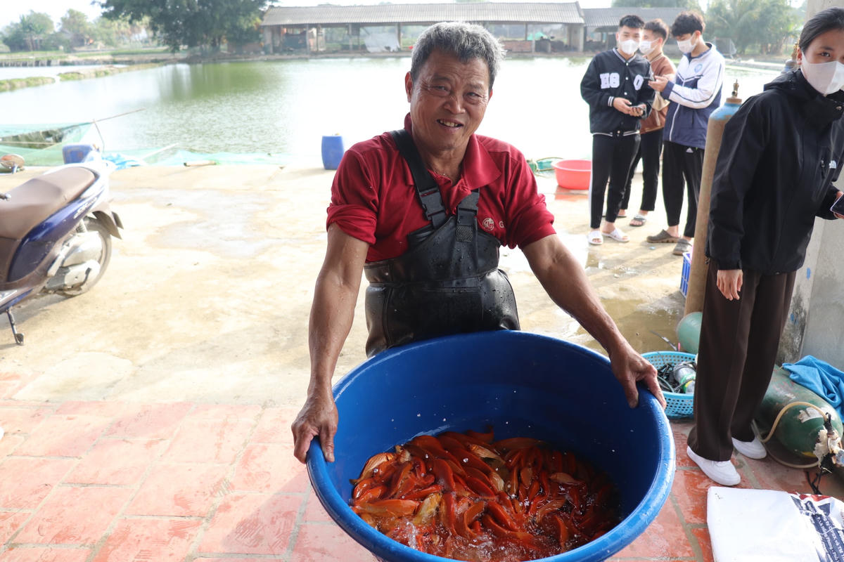 Nụ cười rạng rỡ của một nông dân thị trấn Tân Phong khi năm nay cá chép vàng được giá và trong tình trạng 'cháy hàng'.