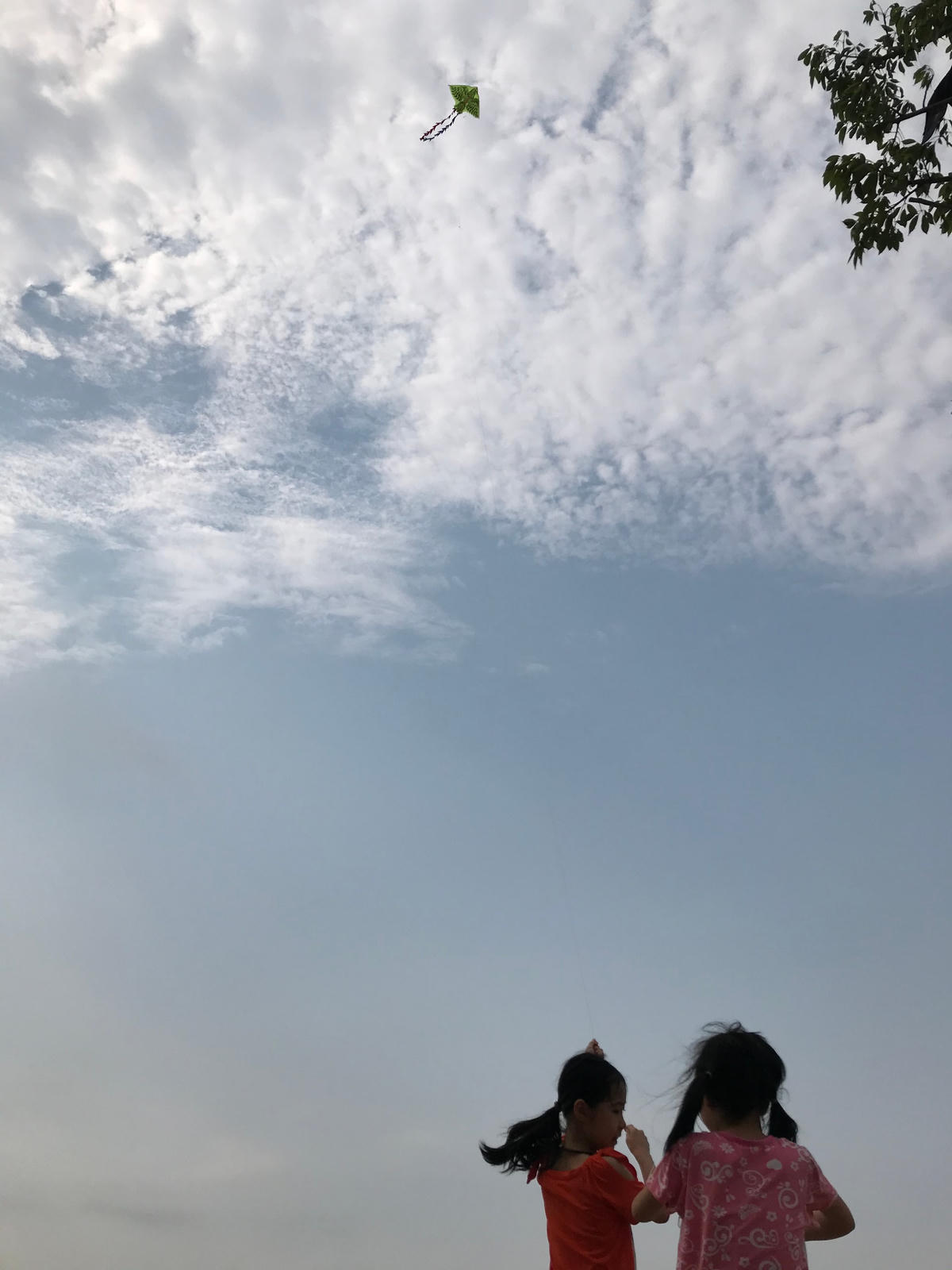 Ảnh: Xuân Chi.