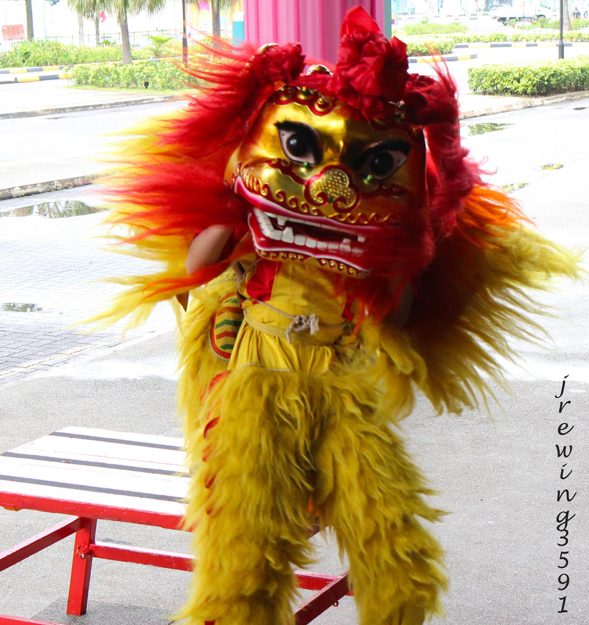 Điệu múa sư tử phương Bắc. Ảnh: Handout.