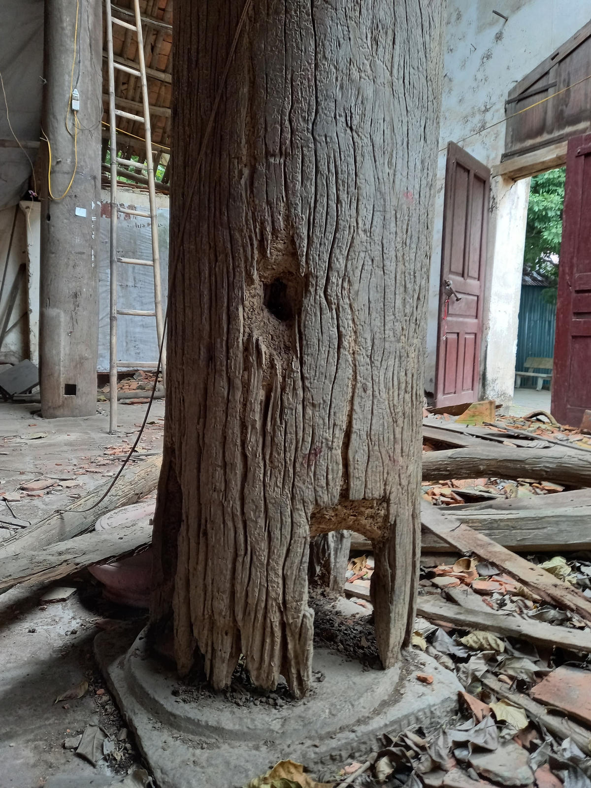 Trụ cột bị mối mọt.