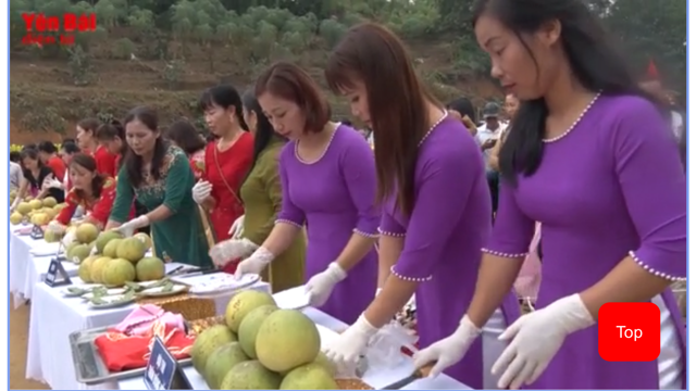 “Thi bóc bưởi” - bưởi quý Đại Minh ngon nổi tiếng là trái ngọt không thể bỏ qua đối với du khách khi đến huyện Yên Bình.