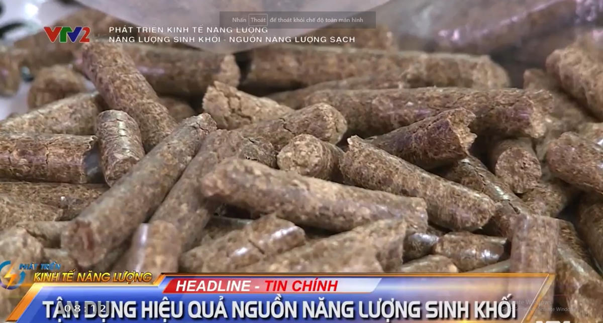 Năng lượng sinh khối – Nguồn năng lượng sạch
