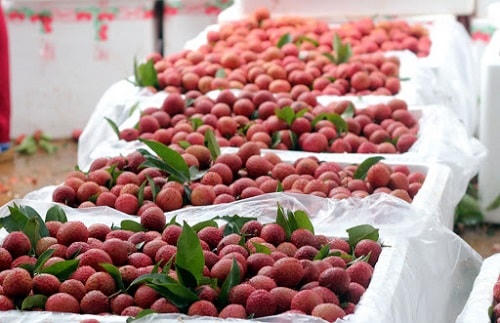 Đẩy mạnh xuất khẩu chính ngạch: Hạn chế nguy cơ bị hủy hợp đồng