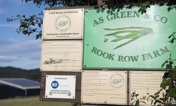Nông trang AS Green & Co. (Nguồn: Getty Images).