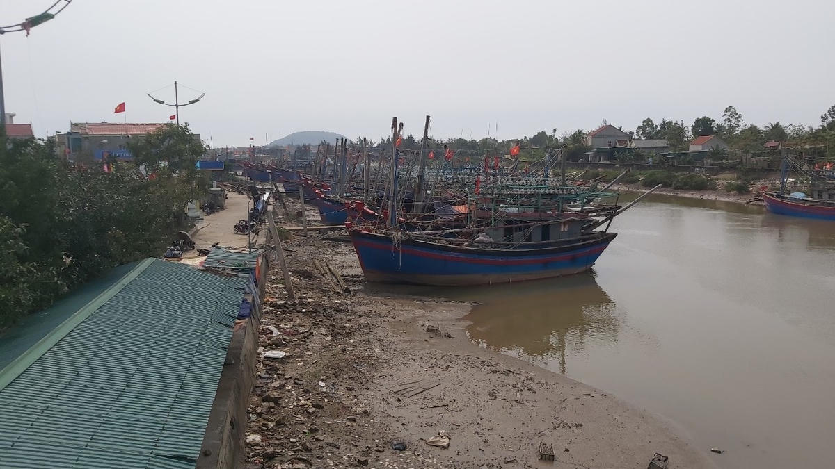 Do đó, bắt buộc ngư dân phải dừng ra khơi, đợi giá xăng dầu giảm xuống.