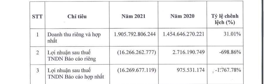 Vì sao cổ phiếu Công ty Cổ phần Tập đoàn Thành Nam bị đưa vào diện cảnh báo