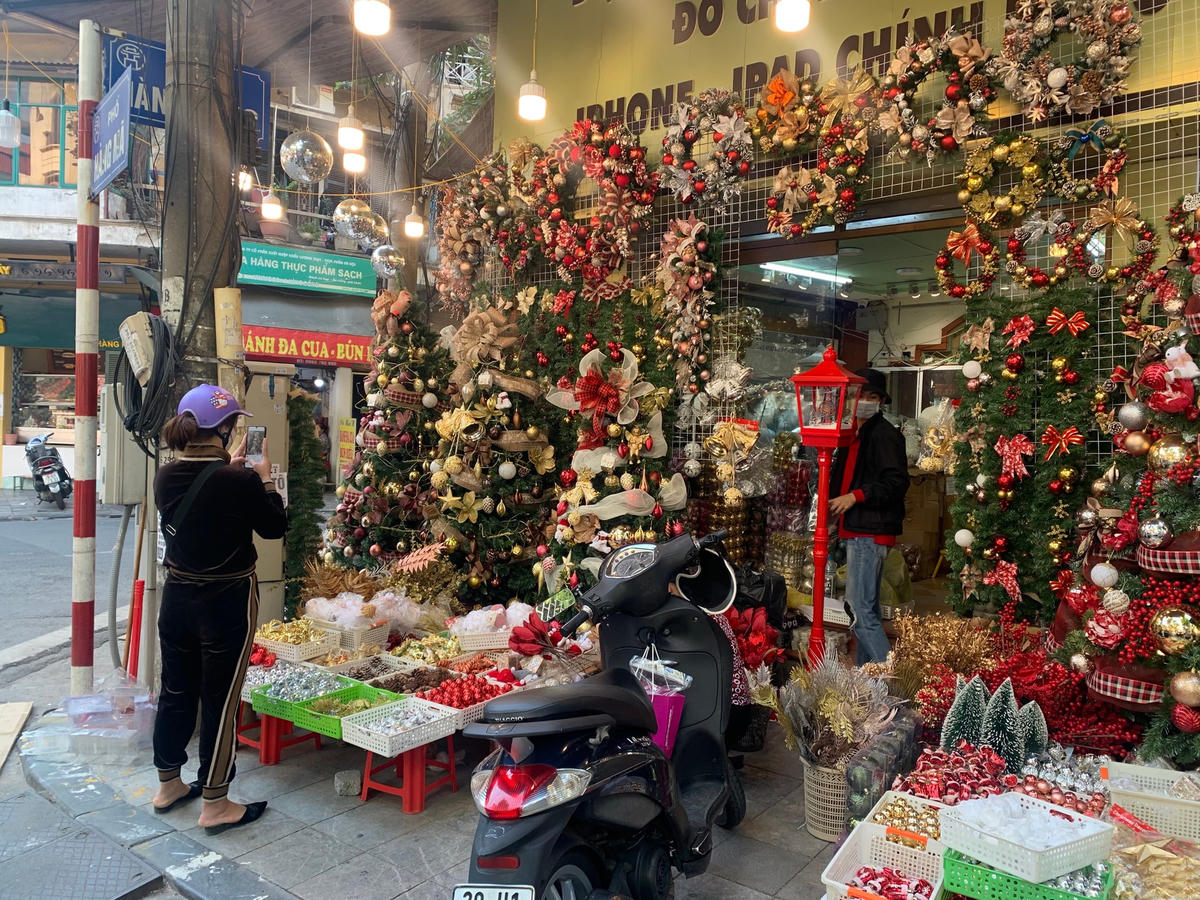 Giá cả của những cây thông Noel rất đa dạng, tùy theo nhu cầu của mỗi vị khách, sẽ có giá dao động từ vài trăm nghìn cho đến vài triệu đồng. Có những cây lớn có giá lên tới 12-15 triệu đồng.