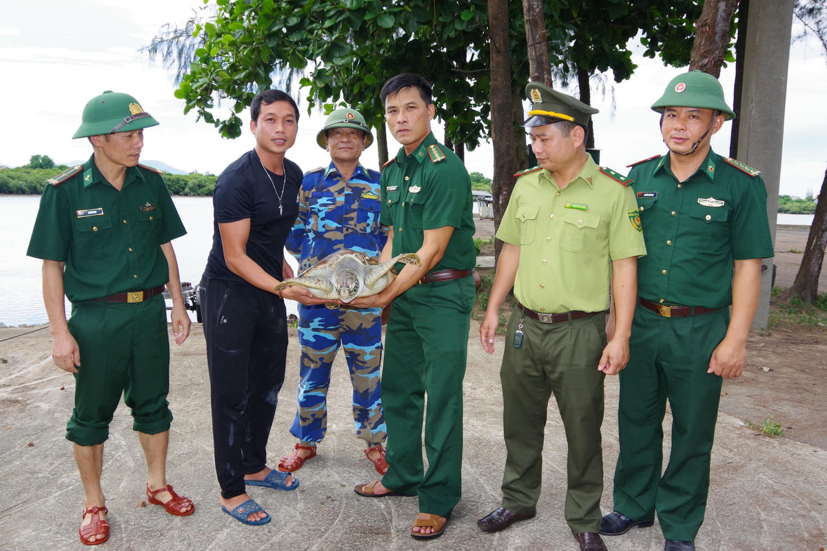 Anh Huấn bắt được một cá thể đồi mồi có trọng lượng 25 kg.