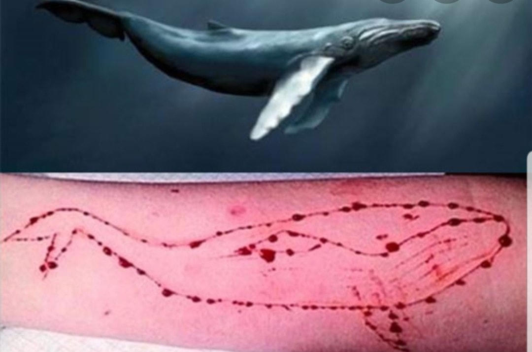 Trước đó, thử thách cá voi xanh dạy trẻ tự hành hạ chính mình thậm chí là tự sát.