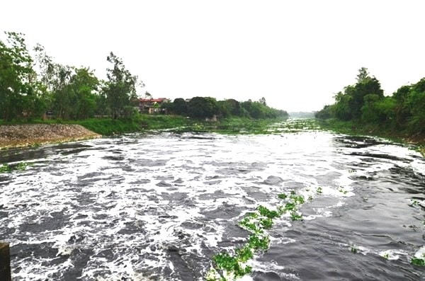 Nước Sông Nhuệ, sông Đáy đang ô nhiễm.