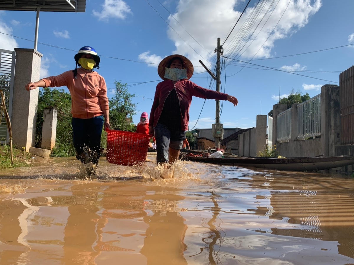 Nhiều người dân đành phải chấp nhận bán lại cá cho thương lái với giá rẻ để vớt vát vốn đầu tư.