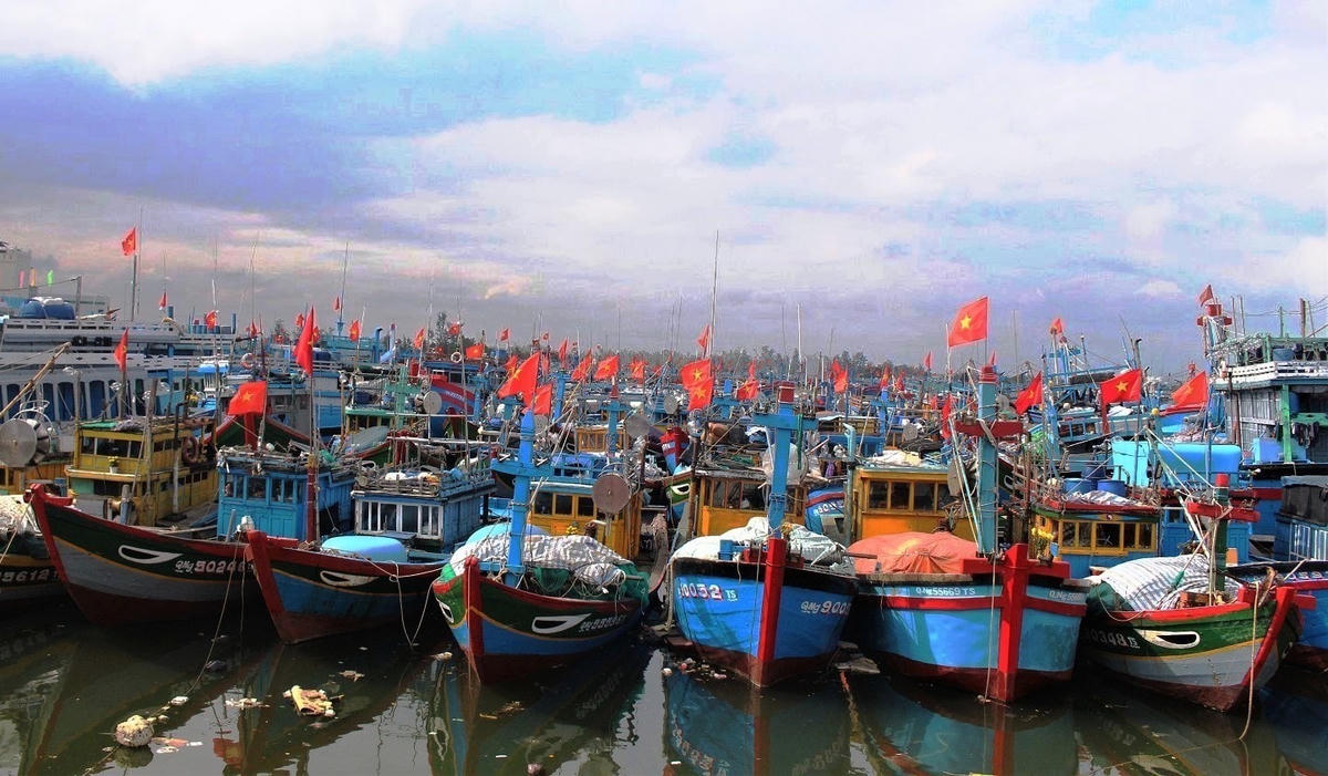 Quảng Ngãi thực hiện nghiêm việc chống khai thác hải sản bất hợp pháp.