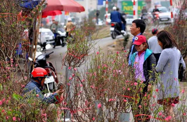 Thời tiết đẹp thích hợp mua sắm đào Tết. Ảnh minh họa.