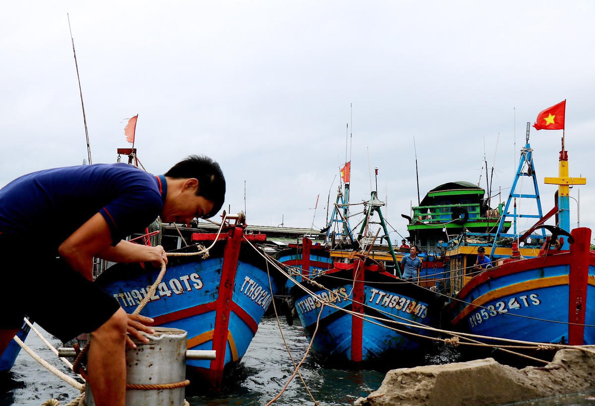 Đang cặm cụi gia cố thêm dây thừng cho chiếc tàu để ứng phó với cơn bão số 5, ngư dân Phạm Văn Hợp, (trú tại tỉnh Thừa Thiên - Huế) chủ tàu cá TTH 91240TS cho biết: “Tàu cá của chúng tôi tham gia đánh bắt cá ở vùng biển thuộc đảo Cồn Cỏ (Quảng Trị). Ngay sau khi nhận được thông tin cơn bão số 5, các thuyền viên đã ngay lập tức cho tàu trở vào bờ, neo đậu để tránh trú bão”.