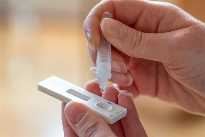 Ảnh minh họa: Pulsetoday.