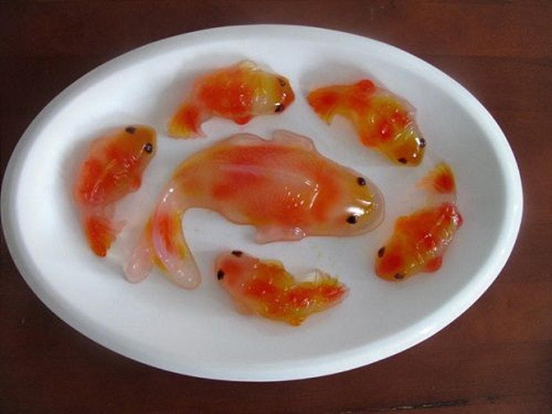 Thạch cá chép.