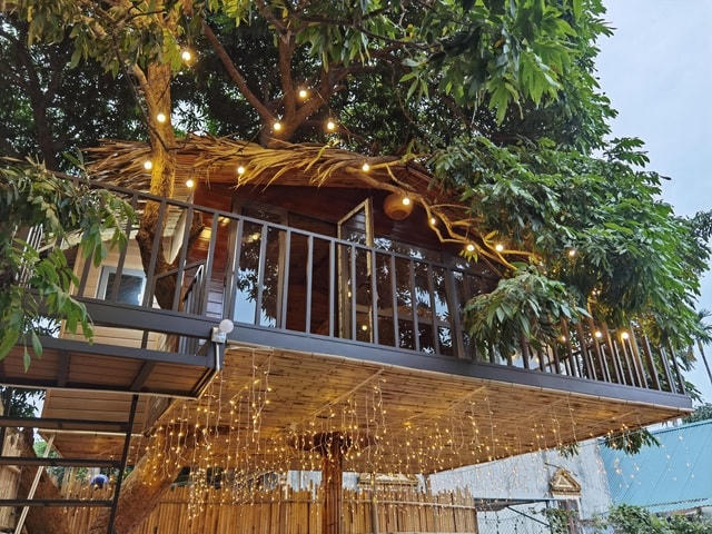 Phần mái được làm từ tôn xốp, bạt che mưa với lớp nứa che mặt dưới và lá cọ che bên trên.  