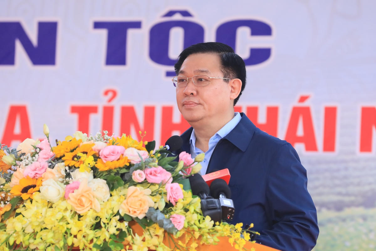 Chủ tịch Quốc hội Vương Đình Huệ phát biểu tại Ngày hội.