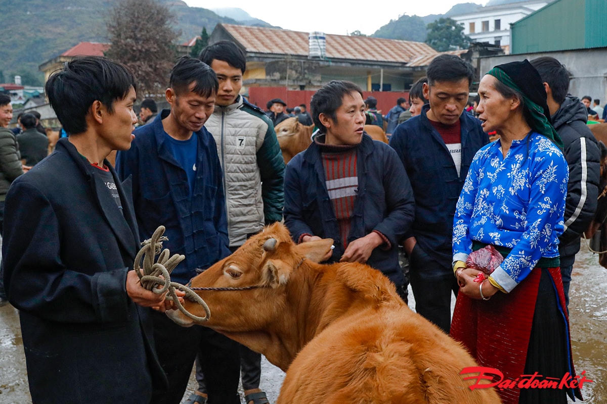 Ở chợ bò không có cảnh người chèo kéo mua và bán, người dân dắt bò ra chợ nếu được giá thì bán không được giá thì vui vẻ dắt về để phiên chợ sau.