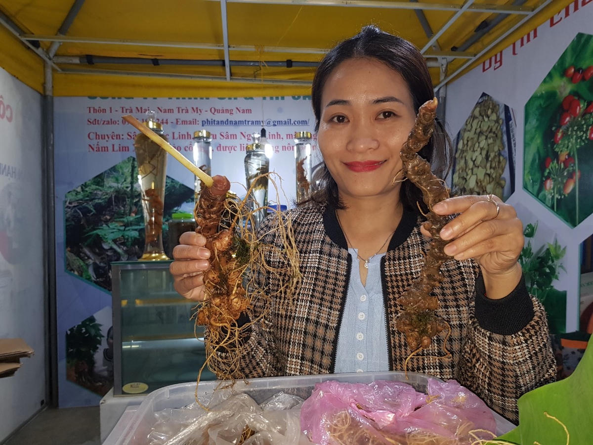 Sâm quý được được dân đem bán tại phiên chợ đầu năm.