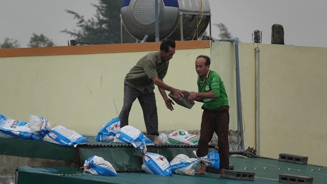 Hàng xóm giúp nhau chuyền từng bao cát đưa lên mái nhà.