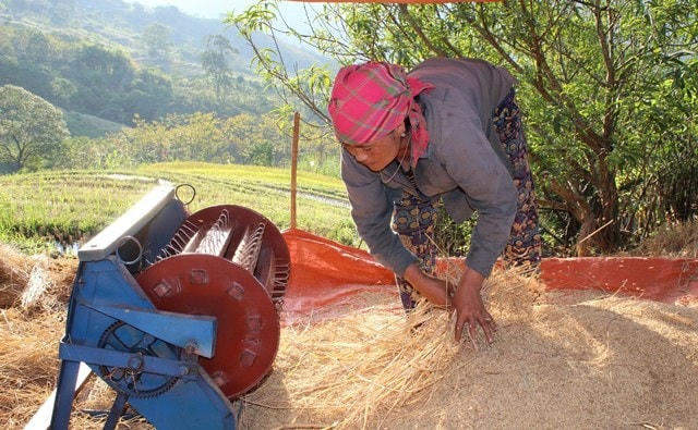 Hàng nghìn lượt hộ dân thoát nghèo từ nguồn vốn vay của NHCSXH Thanh Hoá.