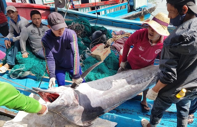 Lộc biển đầu năm.