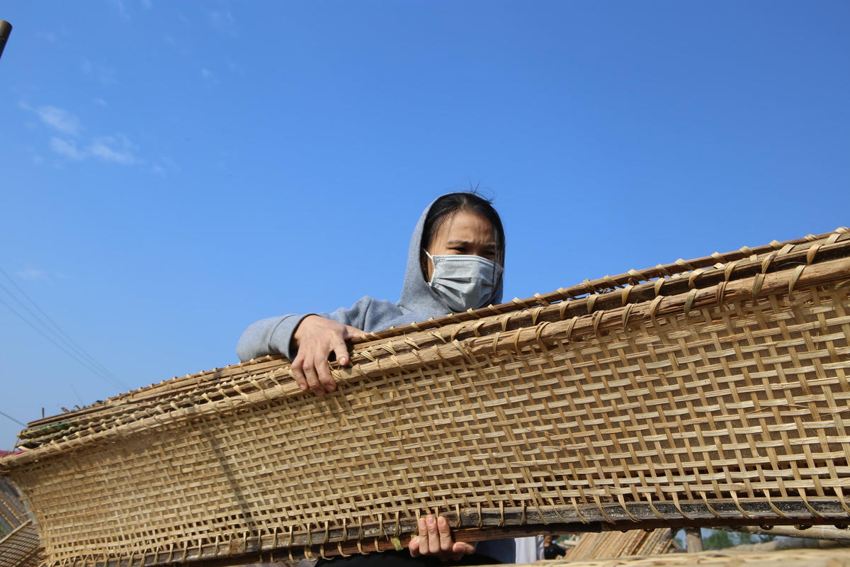 Vụ Tết, các hộ sản xuất phải thuê thêm lao động thời vụ.