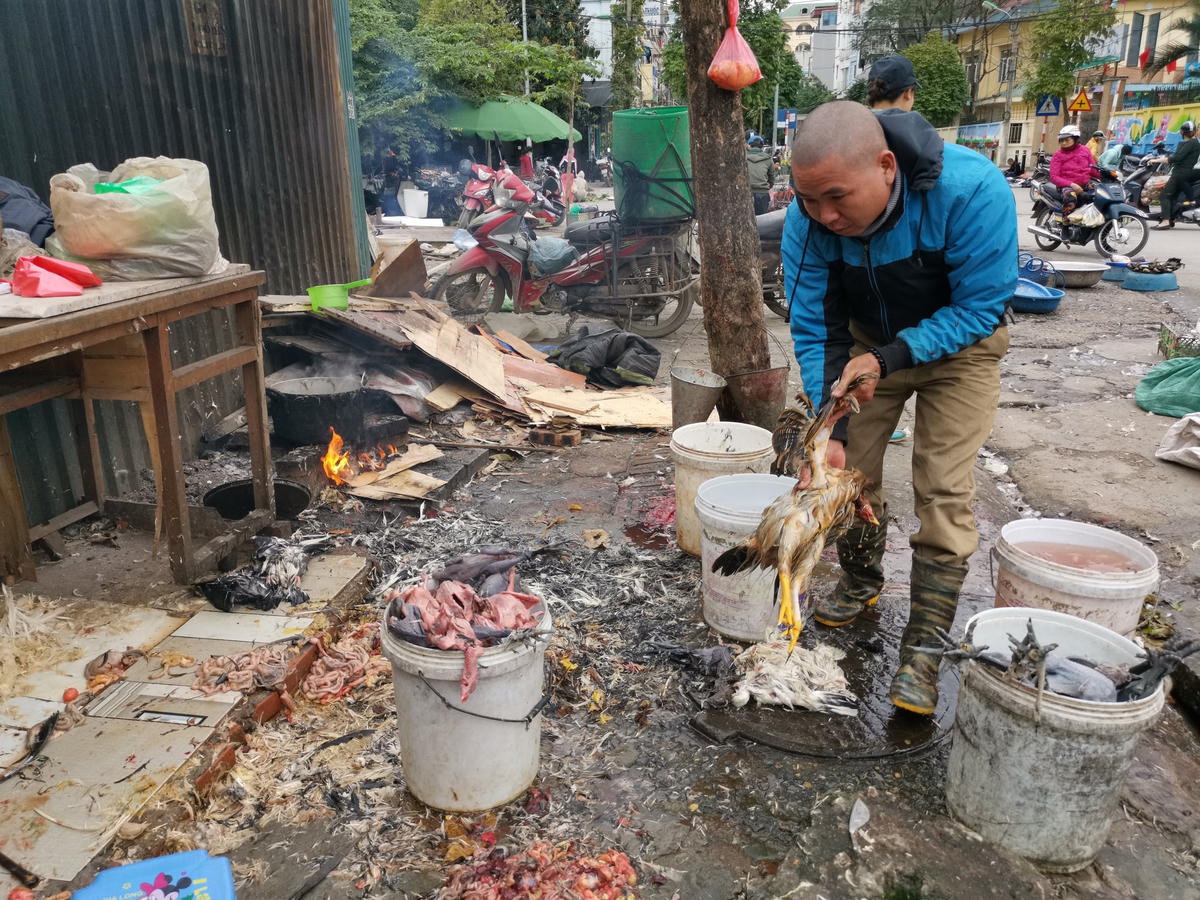 An toàn vệ sinh thực phẩm luôn là nỗi lo của người tiêu dùng (ảnh minh họa). Ảnh: Quang Vinh.