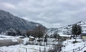 Gia đình Việt ăn Tết Bhutan