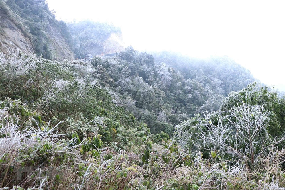 Băng giá phủ kín đoạn đèo Ô Quy Hồ thuộc địa phận tỉnh Lai Châu đi Sa Pa. (Ảnh: Nguyễn Oanh/TTXVN).