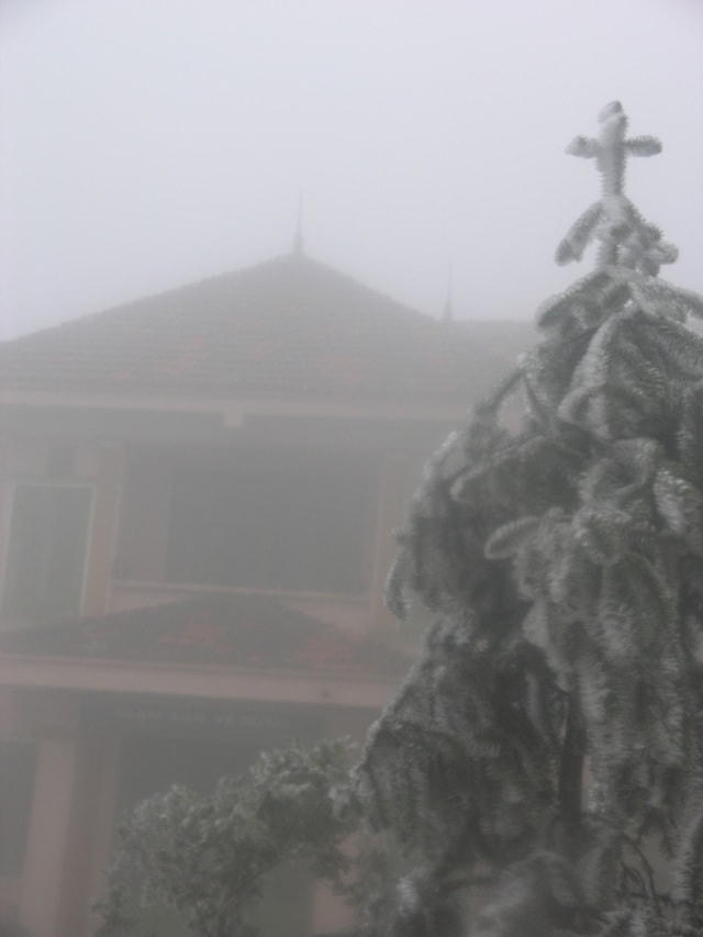 Sa Pa 'đông cứng' trong băng tuyết, đỉnh Khau Phạ cũng 'hóa đá'