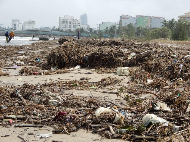 Sở Tài Nguyên và Môi trường TP Đà Nẵng đã có kế hoạch dọn dẹp môi trường sau bão. Theo đó, đối với rác ven biển sẽ tiến hành dọn dẹp từ 17-22/11.  