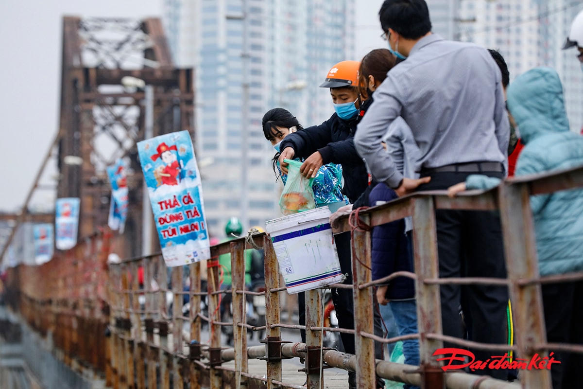 Cá chép được các bạn trẻ đưa vào trong thùng nhựa rồi dùng dây kéo thả xuống sông.