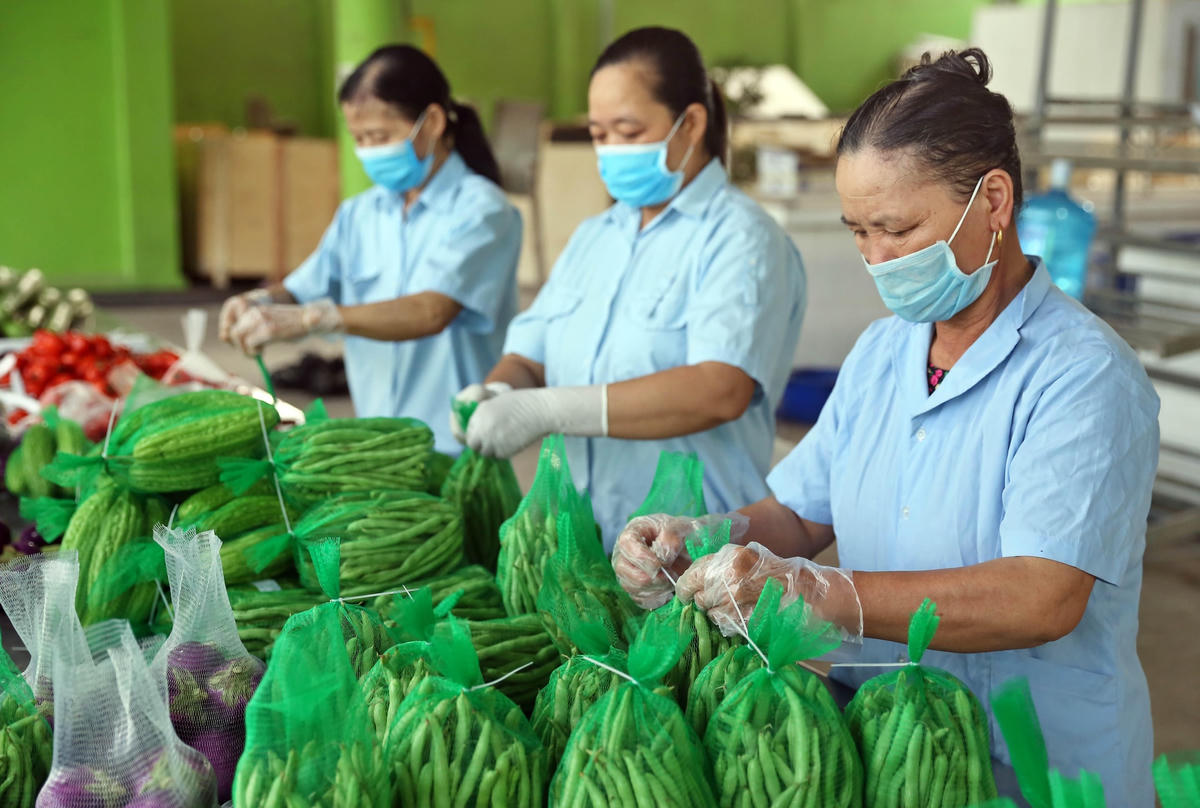 Nhiều tín hiệu vui cho thấy nông sản Việt có cơ hội bứt phá trong năm 2022. Ảnh: Quang Vinh  