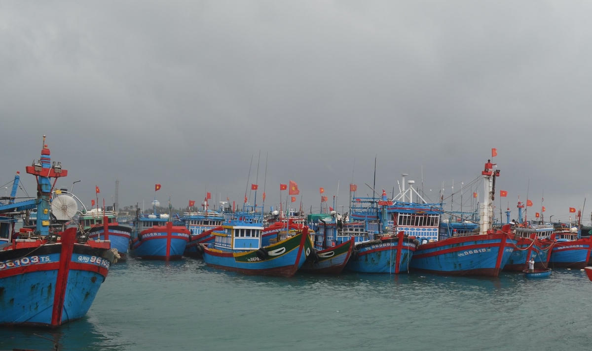 Các tàu thuyền Quảng Ngãi neo đậu tại bến cảng.