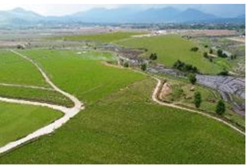 Cao nguyên Xiêng Khoảng có lợi thế lớn về quỹ đất, khí hậu phù hợp với chăn nuôi bò sữa.
