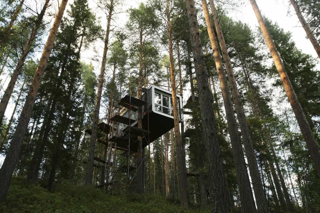 The Treehotel, Thụy Điển nằm giữa những tán cây cao của rừng thông phía Bắc Thụy Điển, khách sạn này kết hợp sự yên bình của thiên nhiên hoang sơ với thiết kế và kiến trúc đương đại.  