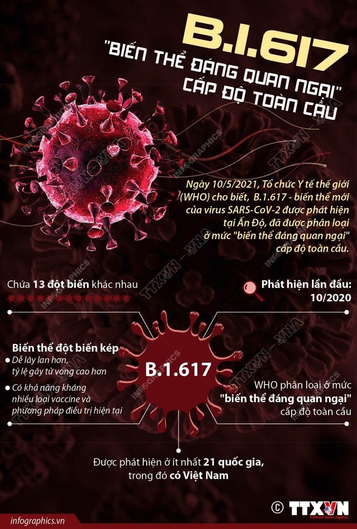 [Infographics] B.1.617 là 'biến thể đáng quan ngại' cấp độ toàn cầu - Ảnh 1