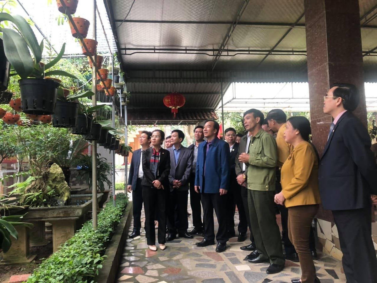 Thăm mô hình nông thôn mới tại xã Kim Liên, Nam Đàn.