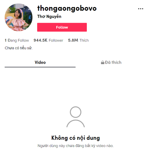 Toàn bộ các video clip trên kênh Tiktok của Thơ Nguyễn đã ẩn. Ảnh cắt từ Tiktok. 
