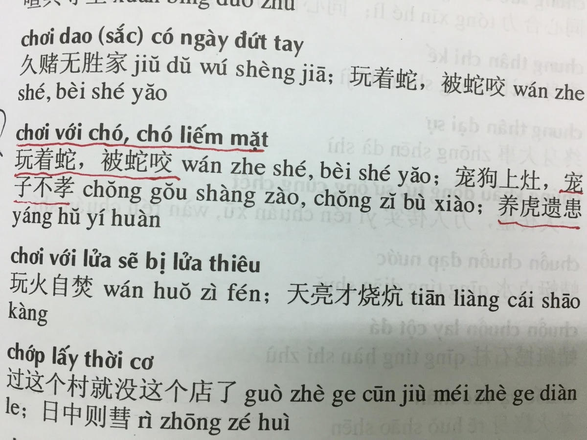 2 trong số những trang từ điển có sai sót.