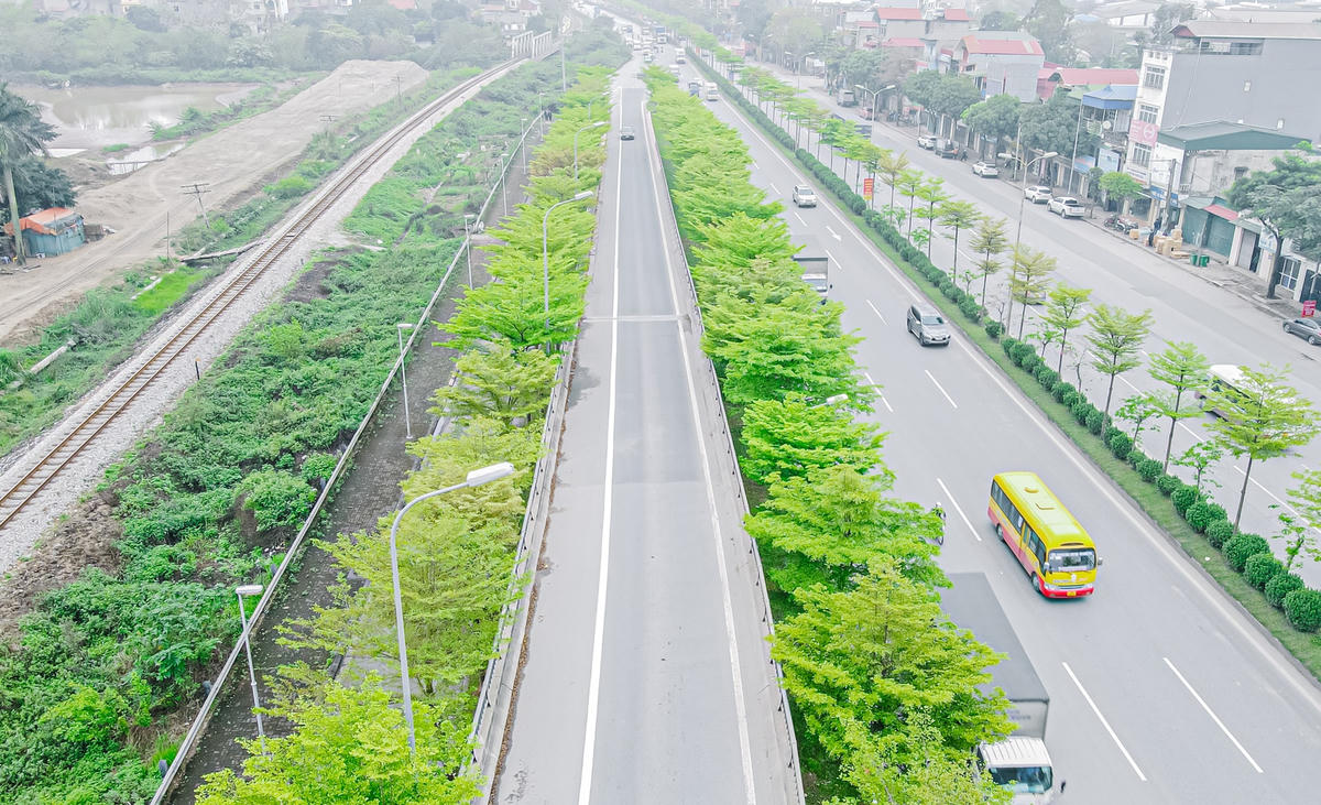 Hình ảnh tại nút giao Quốc lộ 5 lối lên Quốc lộ 1 đi Bắc Ninh - Bắc Giang với những hàng cây bàng lá nhỏ thẳng tắp, lá xanh mơn mởn, tựa như những bức tranh thu hút nhiều bạn trẻ tới chụp ảnh đang được chia sẻ rầm rộ trên mạng xã hội.
