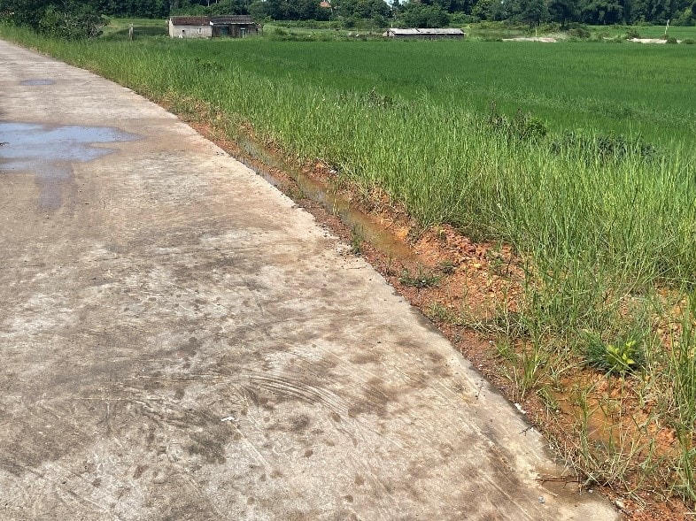 Vệt bánh xe tải trọng lớn vẫn còn lưu lại bên lề đường.