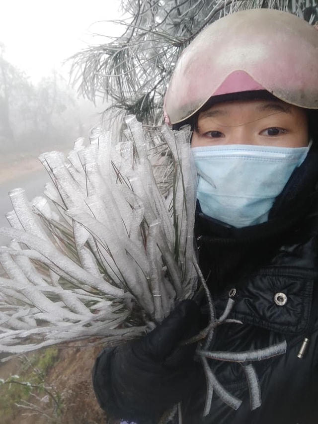 Sa Pa 'đông cứng' trong băng tuyết, đỉnh Khau Phạ cũng 'hóa đá'