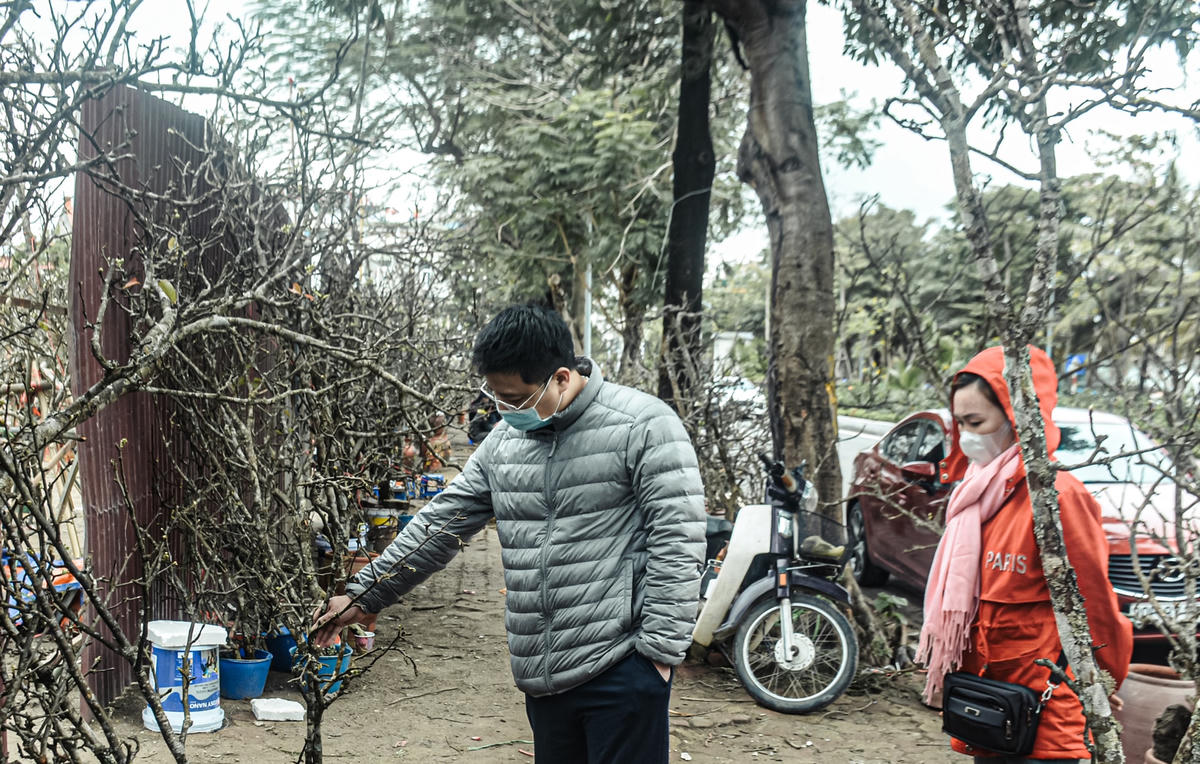 Người dân đi qua tuyến đường này khá thích thú với những cành hoa lê mới được bày bán. Có người chỉ cần lướt qua đã chi cả triệu đồng để có được những cành lê ưng ý đem về nhà.
