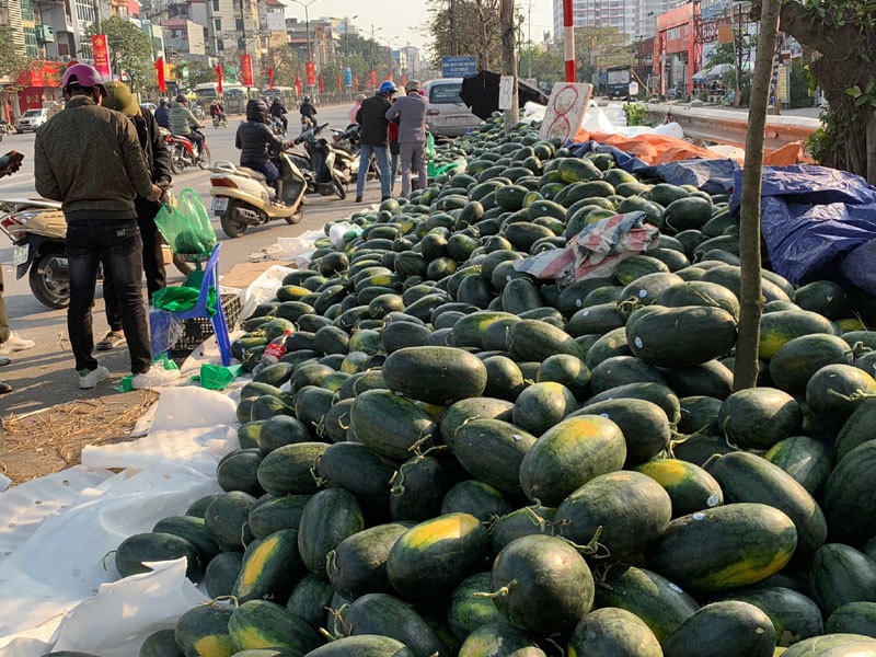 Một điểm “giải cứu” dưa hấu.